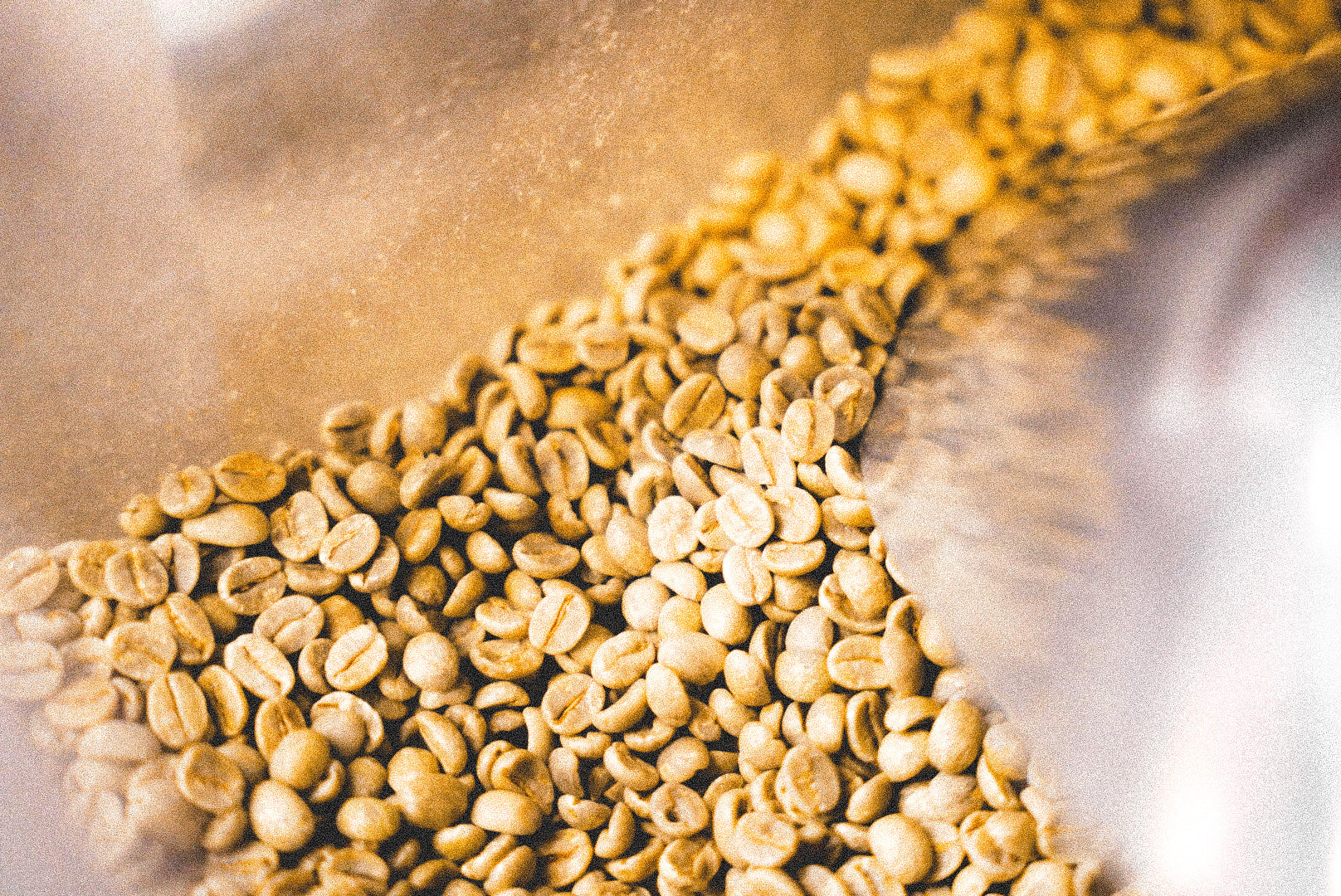 A captivating image featuring hands scooping raw coffee beans in preparation for roasting. The raw coffee beans spill from the scoop, showcasing the organic and earthy textures. This closeup captures the anticipation and craftsmanship involved in the initial stages of the coffee roasting process, inviting viewers to appreciate the journey from raw beans to aromatic, freshly roasted coffee.